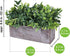 Artificial Grey Green Eucalyptus Plant in Rustic Rectangular Wooden Planter Box Faux Potted Herb Plant Greenery Arrangement for Farmhouse Indoor Wedding Table Centerpiece Mantel Shelf Kitchen Decor