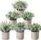 Der Rose 6pcs Mini Potted Fake Plants Small Artificial Plants for Home Farmhouse Bathroom Desk Office Decor