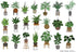 Indoor Plant Food | All-purpose House Plant Fertilizer | Liquid Common Houseplant Fertilizers for Potted Planting Soil | by Aquatic Arts