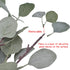 Artificial Eucalyptus Stems Leaves 6 Pcs Straight Silver Dollar Eucalyptus Leaf Silk Greenery Bushes Plastic Plants Floral Faux Greenery Stems for Party Wedding Home Decor(Grey Green)