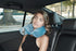 High Sierra, Fits All, Bendable Travel Pillow/Sky
