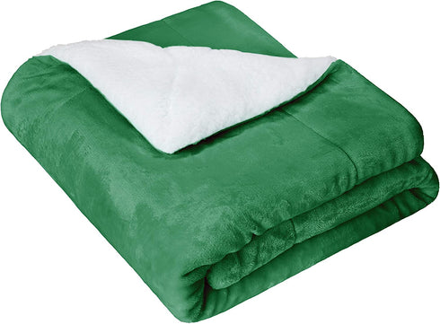Amazon Basics Kids Ultra-Soft Micromink Sherpa Blanket - Twin, Grass Green