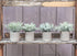 Der Rose 6pcs Mini Potted Fake Plants Small Artificial Plants for Home Farmhouse Bathroom Desk Office Decor