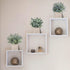 Auelife Artificial Plants 3PCS 9-10IN Mini Potted Plants, Fake Eucalyptus / Glossy Grass / Pale Grass Plants (Square Pot) Faux Lifelike Flower Greenery Decor for Home Office Farmhouse Bathroom