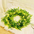 Kurala 20 Inches Artificial Green Leaf Wreath with 40 Led Lights and Timer Battery Operated Front Door Wall Window Party Decoration
