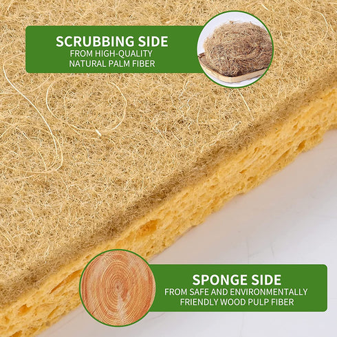12 Pack Kitchen Dish Sponges, Natural Plant Palm Fiber Scrub Sponge with Non Scratch Biodegradable Compostable Sponges, Durable No Smell Household Cleaning Sponges