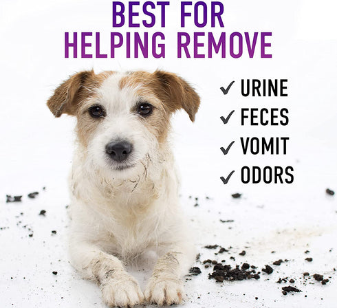 Hoover Carpet Paws & Claws Premixed Spot Machine Cleaning Shampoo, Pet Stain Solution and Odor Remover, 32oz Cleaner Formula, AH30940, White, 32 Fl Oz