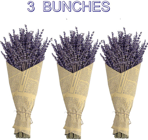 Natural Dried Lavender Flowers Bouquet,3 Bundles Dried Flowers Perfect for Home Decoration,Wedding,Photo Prop(270-300 Stems)-by TOMOON