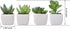 MyGift Mini Assorted Artificial Succulent Fake Indoor House Plants in Square White Ceramic Pots, Set of 4