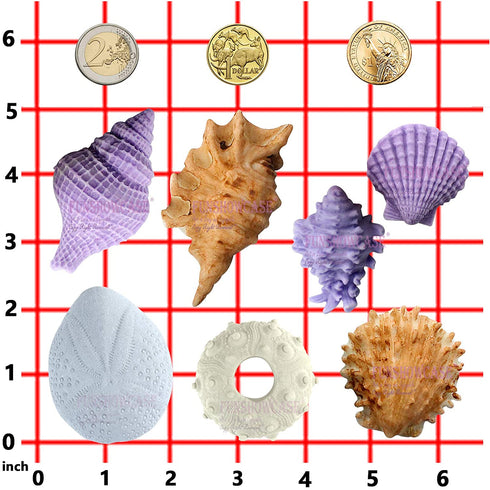 Seashell Sea Urchin Candy Silicone Molds for Fondant Cake Decoration, Cupcake Topper, Chocolate, Soap, Polymer Clay, Resin Epoxy, Concrete, Cement, Plaster Craft Projects 7-in-set Large