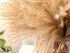 100 pcs Fluffy Pampas Grass Reeds Dried Flower, 17" Tall Not Sparse Natural Plant for Boho Wedding Bouquet Arrangement, Rustic Floral Home Decoration, Vase Filler for Living Room Decor for All Seasons