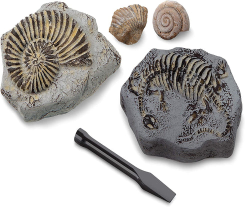 Discovery #MINDBLOWN Mini Fossil Dig Set, 2 Pack Excavation Kit, Interactive Archaeology Paleontology Experiment, Learn Science, Fun and Educational STEM Toy for Kids Ages 6 and Up