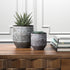 Amazon Brand Rivet Modern Concrete Indoor Outdoor Planter Pot With Painted Accents - 5 Inch, Grey and White