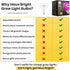 Haus Bright LED Grow Light Bulb - for Indoor Plants Full Spectrum Lamp | Seed Starting, House, Garden, Vegetable, Succulent, Hydroponic, Greenhouse Growing | 100W E27 (Original)