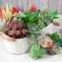 FEPITO 16 Pcs Random Size Artificial Succulent Plants Unpotted Succulents Picks Faux Succulent Plant in Green Stems for Home Indoor Garden Decoration