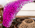 JS HOME Pink Leopard Skin Queen Size Blanket Throw Super Soft, (80"x80")