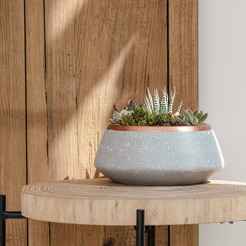 Large Succulent Planter Pots - Ceramic Indoor Outdoor Garden Pot with Drainage for Plant Flower, 8 Inch, Gray