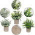 Flojery Mini Potted Plants Artificial Eucalyptus Boxwood Rosemary Greenery in Pots Faux Potted Herbs Small House Plants 8.3"-9" Tall for Indoor Greenery Tabletop Décor Centerpiece (Sprayed Eucalyptus)