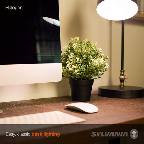 SYLVANIA Halogen A19 Light Bulb, 9W=60W Equivalent, E26 Medium Base, 600 Lumens, 100 CRI, 2700K Soft White - 4 Pack (50005)