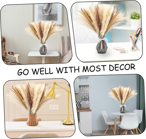 Pampas Grass Dried Pampas for Home Kitchen Decor, 17inch Natural Dried Pampas Grasss Decor Small Fluffy Pampas Bouquet Reed Grass Plant Boho Room Decor for Flower Arrangement (65Pcs)