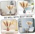 Pampas Grass Dried Pampas for Home Kitchen Decor, 17inch Natural Dried Pampas Grasss Decor Small Fluffy Pampas Bouquet Reed Grass Plant Boho Room Decor for Flower Arrangement (65Pcs)