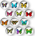 COSOW 12Pcs Glass Strong Magnetic Refrigerator Magnet Fridge Sticker - Butterfly Round Glass Fridge Decoration, Office Whiteboard Magnet, Cabinet Magnet, Dishwasher Magnet, Cabinet Cute Locker Magnet