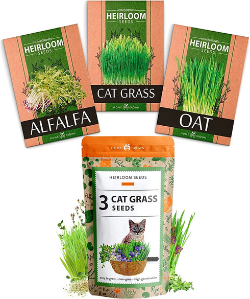 Cat Grass Seeds - Grow Cat Grass for Indoor Cats - Cat Grass Seeds Bulk - Refill Cat Growing Grass Kit - Heirloom Cat Grass Seed (Cat Grass - 3pack)