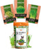 Cat Grass Seeds - Grow Cat Grass for Indoor Cats - Cat Grass Seeds Bulk - Refill Cat Growing Grass Kit - Heirloom Cat Grass Seed (Cat Grass - 3pack)