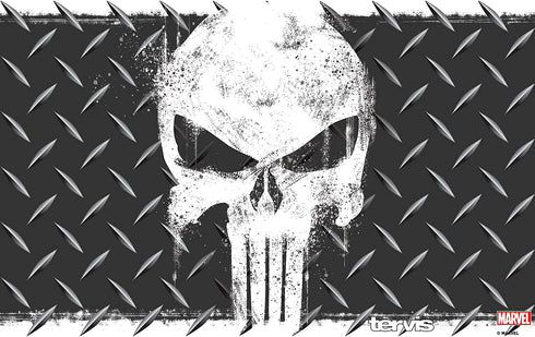 Tervis 1292882 Marvel-Punisher Insulated Tumbler with Clear and Black Hammer Lid, 20 oz Stainless Steel, Silver