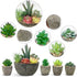 Succulents Plants Artificial Set of 5, Realistic Fake Succulents with Cement Like Pots for Home Office Decoration.