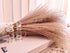 100 pcs Fluffy Pampas Grass Reeds Dried Flower, 17" Tall Not Sparse Natural Plant for Boho Wedding Bouquet Arrangement, Rustic Floral Home Decoration, Vase Filler for Living Room Decor for All Seasons