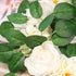 Meiliy 200pcs Bulk Rose Leaves Artificial Greenery Fake Rose Flower Leaves for DIY Wedding Bouquets Centerpieces Party Decorations Rose Vine Wreath Garlands Supplies