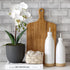 Barnyard Designs 14? Artificial Phalaenopsis Orchid, Indoor Faux Potted House Plant with Flowers for Home, Office, or Parlor Decor