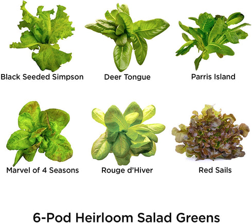 AeroGarden Heirloom Salad Greens Seed Pod Kit (6-pod)