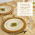 Silver Spoons Modern Elegant Disposable DINNERWARE Set | Heavy Duty Plastic Dishes | Chargers | Dinner Salad Plates | for Upscale Wedding and Dining | Golden Glare Collection, 20 Servings, Ivory/Gold