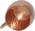 Raajsee Moscow Mule 18 ounce Pure Copper Mugs Set of 2 Solid Hammered Design Gift Set