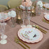 PINK PLASTIC PLATES | Disposable Dinner Plates | Veil | 11.25 | 10 PC