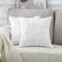 Neelvin Pack of 2 Soft Plush Short Wool Velvet Decorative Throw Pillow Covers Cushion Case Pillowcase for Sofa Couch