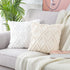 Neelvin Pack of 2 Soft Plush Short Wool Velvet Decorative Throw Pillow Covers Cushion Case Pillowcase for Sofa Couch