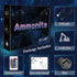 Ammonite Excavator 3D Lamp for Kids, LED Optical Illusion Night Light with Remote Control and Timing Function as Christmas Birthday Gifts Ideas for Boys Kids Teen