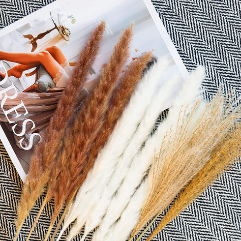 Pampas Grass, 65Pcs Natural Dried Pampas Grass Decor With 20Pcs Cream White Pampas Grass& 20Pcs Brown Pampas&25Pcs Pompous Grass,17.5"Bouquet For Dried Flowers Decor And Flower Arrangements Home Decor