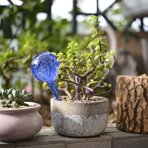 Skinartwork Plant Watering Globes, Automatic Watering Aqua Globe Mini Decorative Hand-Blown Glass Small Plant Bulbs - 4pc Deluxe Set