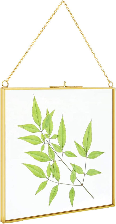 TLBTEK 8x8 inch Brass Hanging Photo Frame,Double Glass Frame for Pressed Flowers,Clear DIY Vintage Artwork Display Frame Wall Mounted Photos Frame
