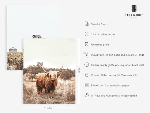 Highland Cow Art and Farmhouse Wall Decor - by Haus and Hues | Cow Wall Art and Farmhouse Pictures | Cow Decor | Cow Prints Wall Art | Cow Pictures Wall Decor, (11" x 14" UNFRAMED)
