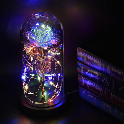 Beauty and The Beast Rose, Gifts for Her Wife Mom, Enchanted Rose in Glass Dome, Women Birthday, Lights and Flowers