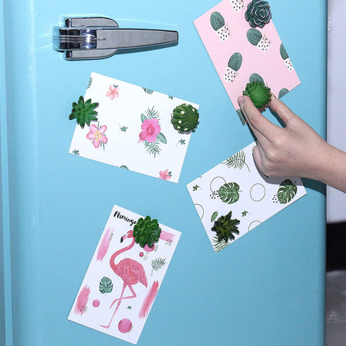 16 Pieces Cactus Succulent Refrigerator Magnets Plant Fridge Magnets Funny 3D Resin Stickers for Office Kitchen House