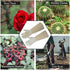 Pruning Gloves Long for Men & Women, Pigskin Leather Rose Gardening Gloves- Breathable & Durability Gauntlet Gloves Medium