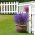 Artificial Lavender Flowers 12 Bundles Outdoor UV Resistant Fake Flowers No Fade Faux Plastic Plants Garden Porch Window Box Decorating (Purple)