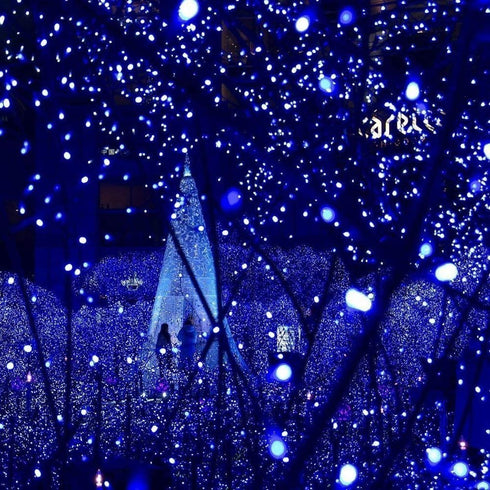 Joomer Blue Solar String Lights 72ft x 2 Pack 200 LED 8 Modes Waterproof Solar Fairy Lights for Garden, Patio, Fence, Balcony, Outdoors