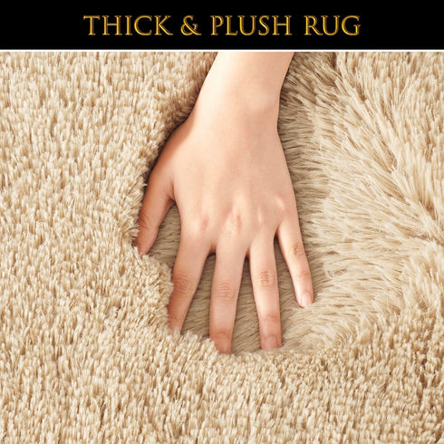 Pacapet Fluffy Area Rugs, Beige Shag Rug for Bedroom, Plush Furry Rugs for Living Room, Fuzzy Carpet for Kid's Room, Nursery, Home Decor 3 x 5 Feet